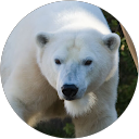 Lesley Pollock profile picture