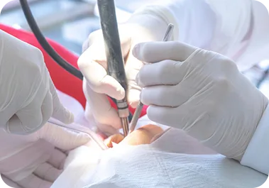 Surgical & Endodontic Care